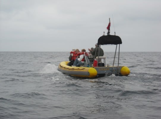 On the water with Catalina Ocean Rafting
