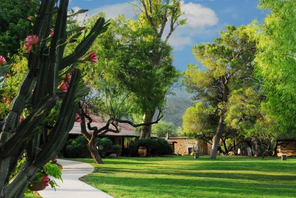 Front Lawn of Tanque Verde Ranch
