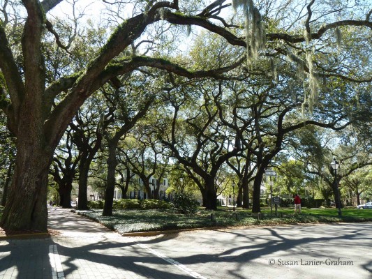 Savannah Georgia