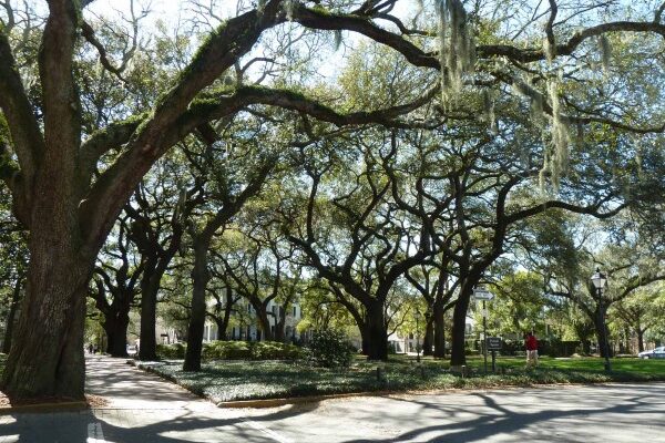 Savannah Georgia