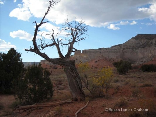 Ghost Ranch