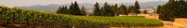 Soter Vineyard