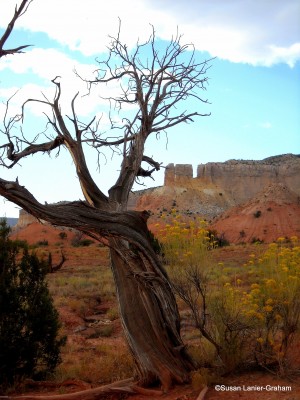 Ghost Ranch, New Mexico