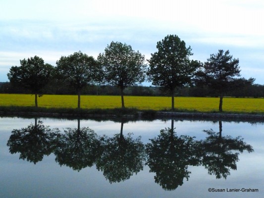 Reflection of the trees on the Burgundy Canal