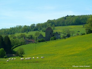 Alongside the Burgundy Canal near Marmagne