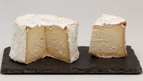 Chaource choose. Photo courtesy Coyau via Wikimedia Commons