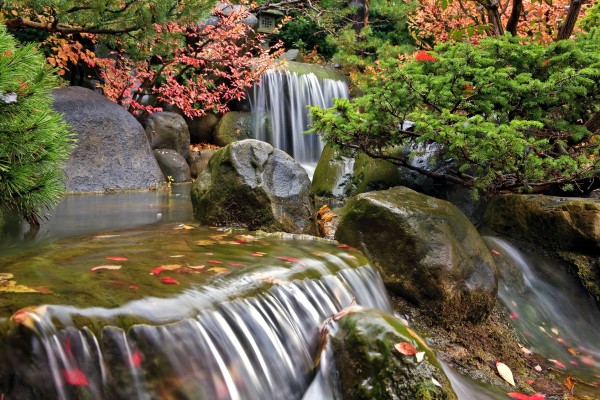 Autumn Waterfall