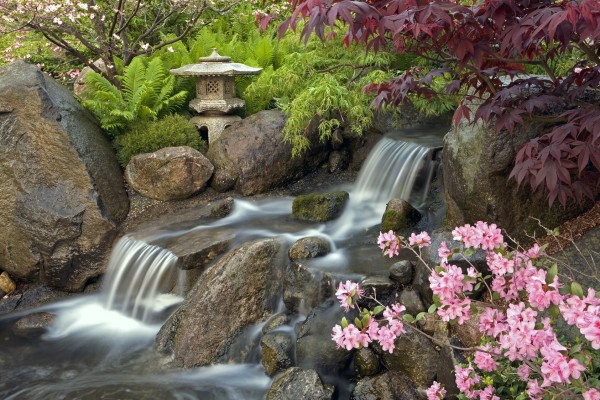 Anderson Japanese Gardens waterfall in spring