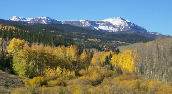 Flat Tops Wilderness Area by Lee Duerksen