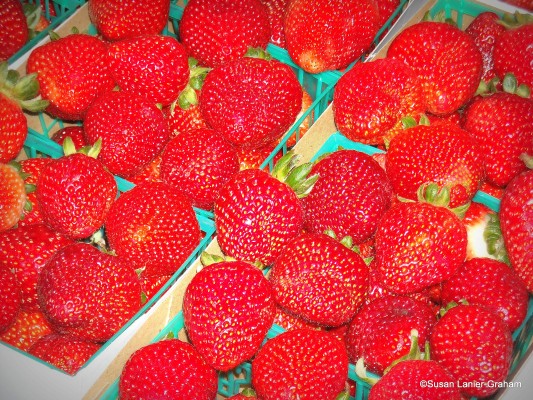 Strawberries at Oxnard Farmers Market