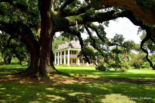 1 Houma House