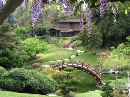 botanical gardens