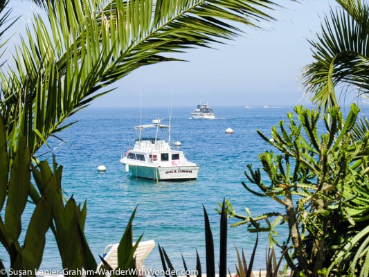 Descanso Beach Club on Catalina Island