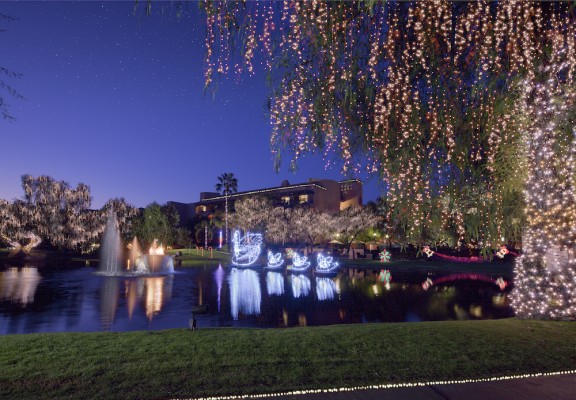 Lagoon Lights