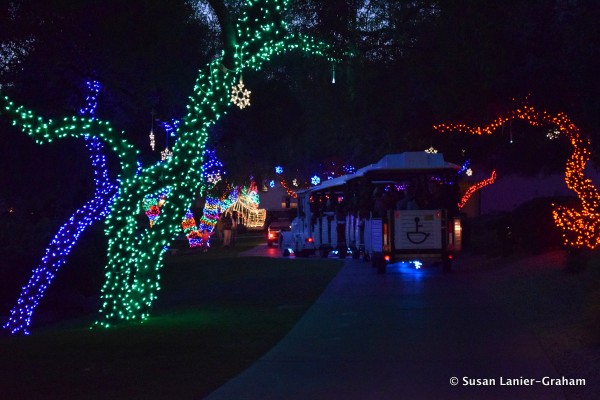 Princess Train takes visitors to see the Lagoon Lights