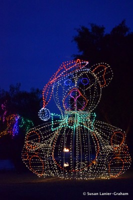 Fairmont Scottsdale Princess - Teddy Bear Lagoon Lights by Susan Lanier-Graham