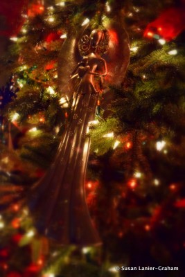 Create holiday memories at Fairmont Scottsdale