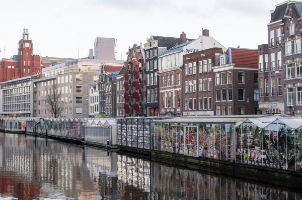 visit the Amsterdam Bloemenmarkt, the world's only floating flower market. Seeing all the flowers in bloom is definitely a wow moment for visitors to Amsterdam.