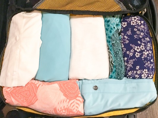 This packing cube contains all of my casual tops, once again folded.
