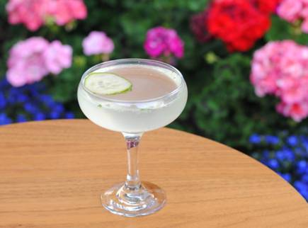 spring cocktail recipes