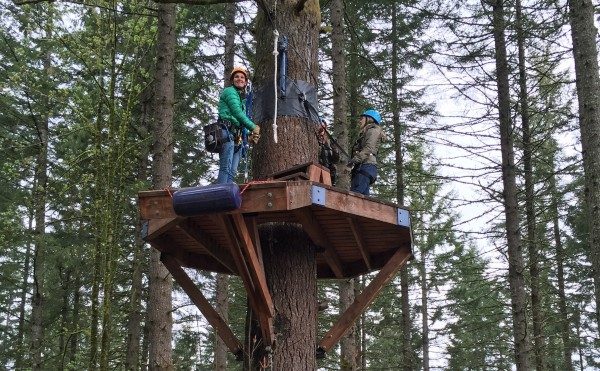 Explore the Oregon forest canopy with Pumpkin Ridge Zip Line Tower