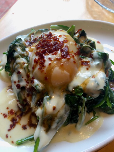 Poached egg