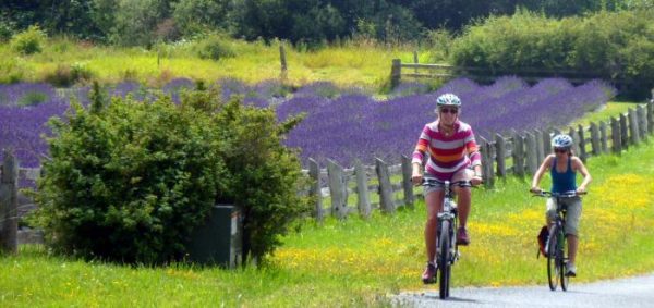 Biking San Juan Island