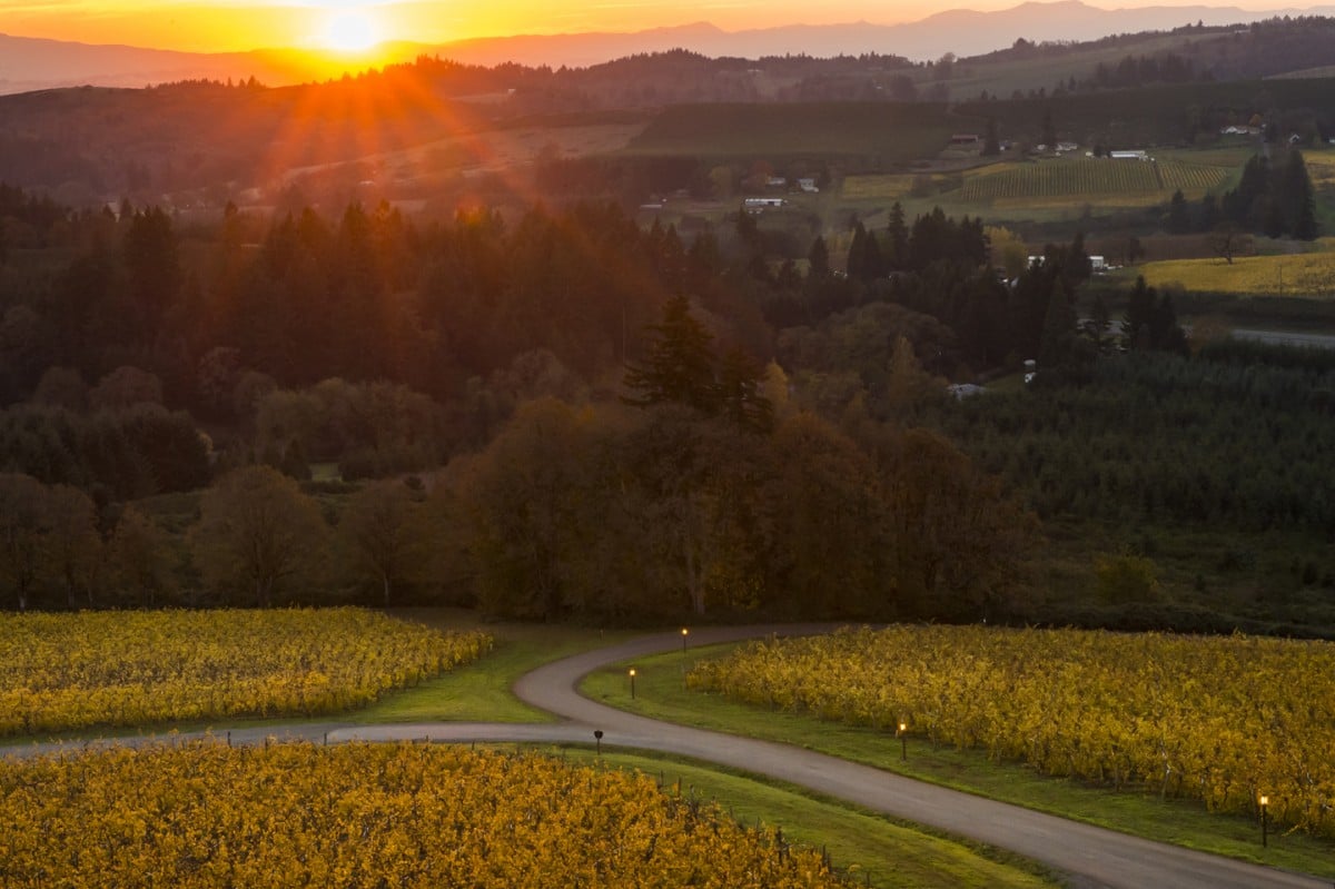 Willamette Valley Vineyards