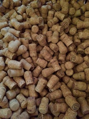 Here are my suggestions for the 5 best champagnes for a New Year to remember.