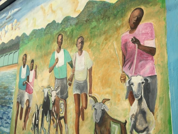 Tobago goat race mural