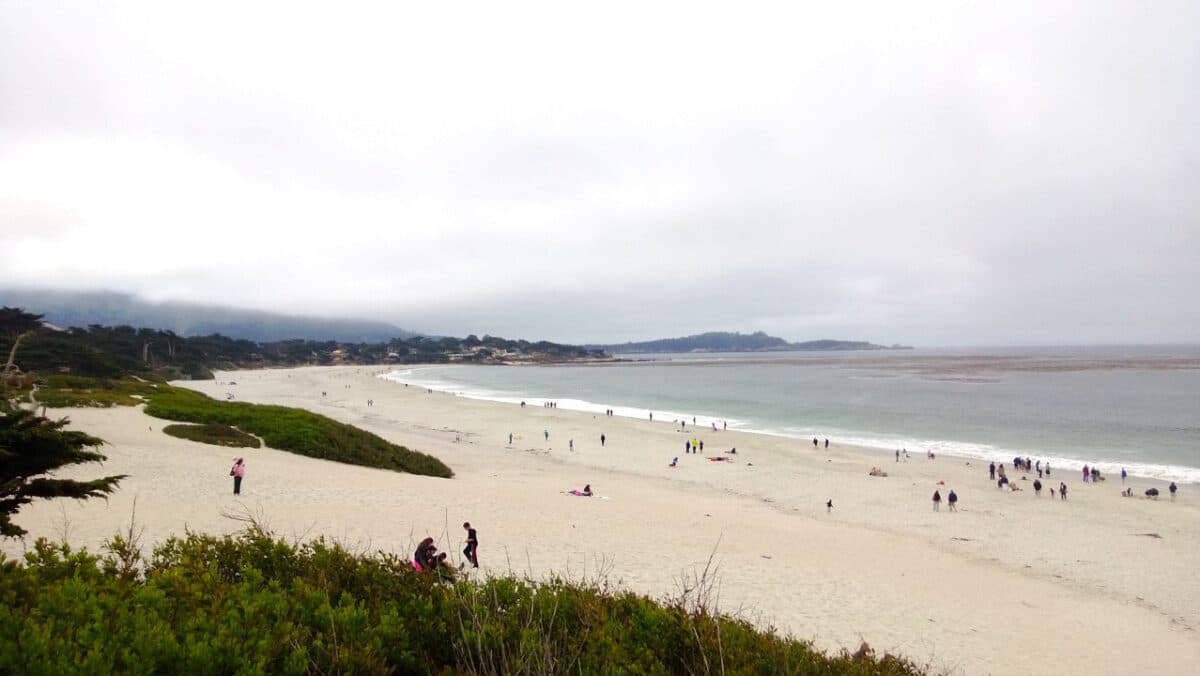 Best Things To Do In Northern California