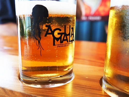 Agua Mala Brewery Beer Sampler. - Baja Beers