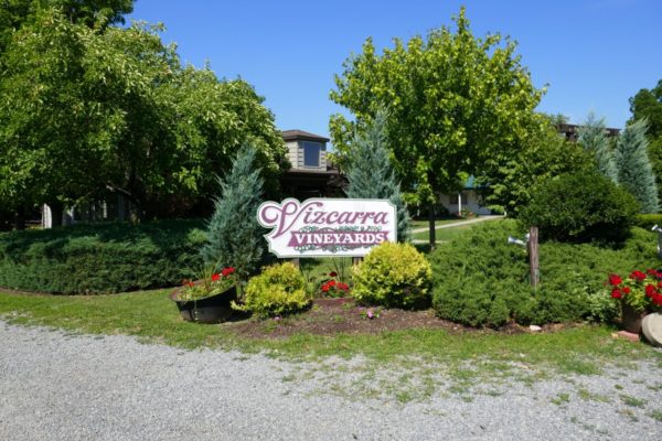 Vizcarra Vineyards. Photo by Susan Lanier-Graham