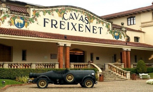 Cavas