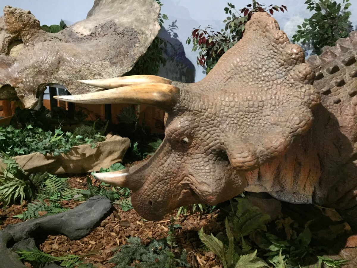 Dinosaur