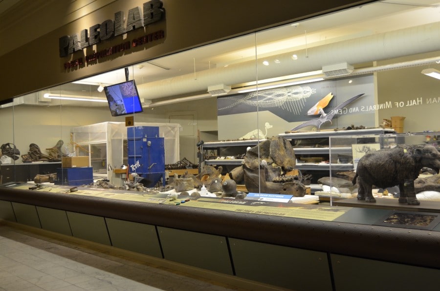 Carnegie Museums
