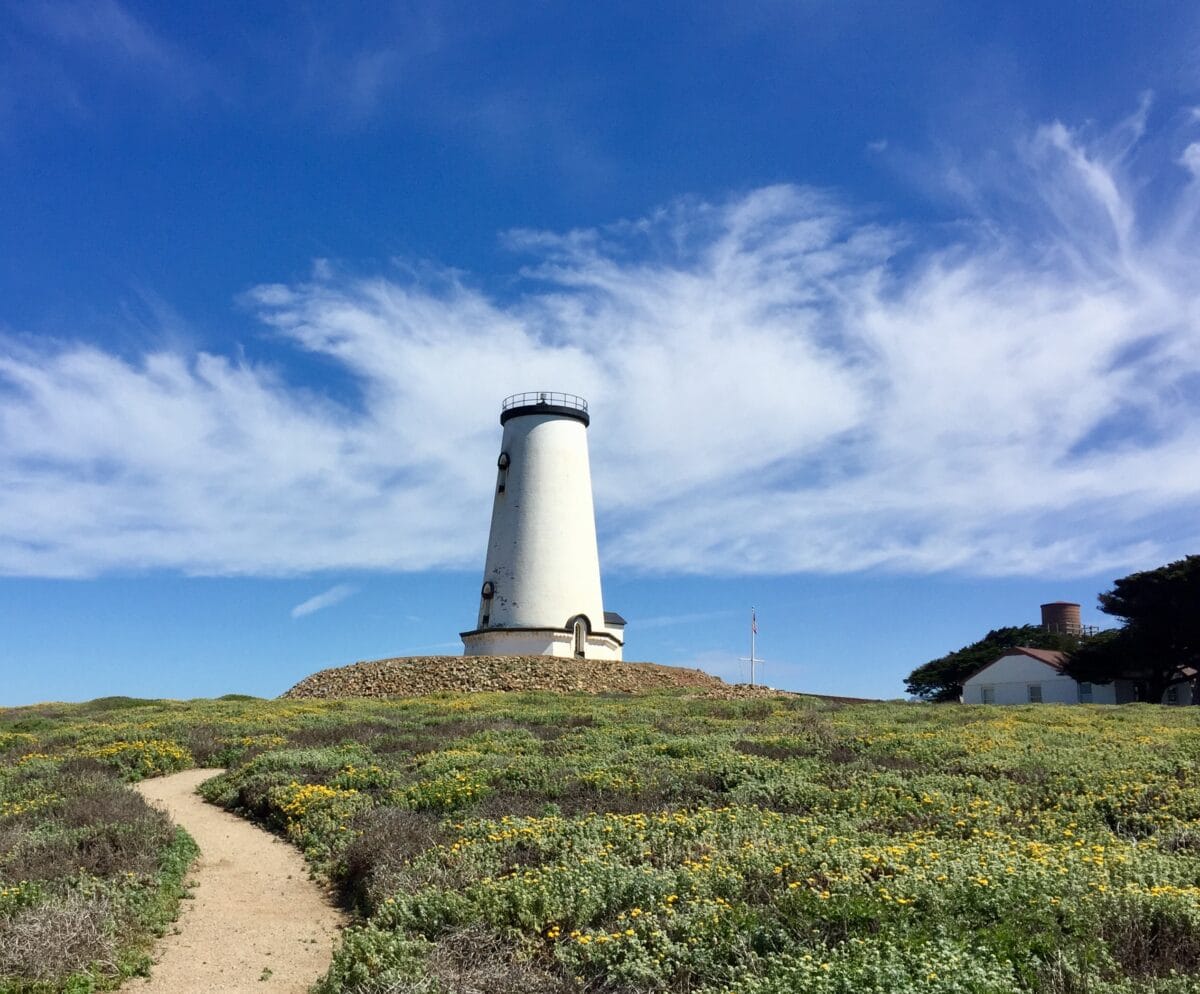 The Best of California Highway One Discovery Route