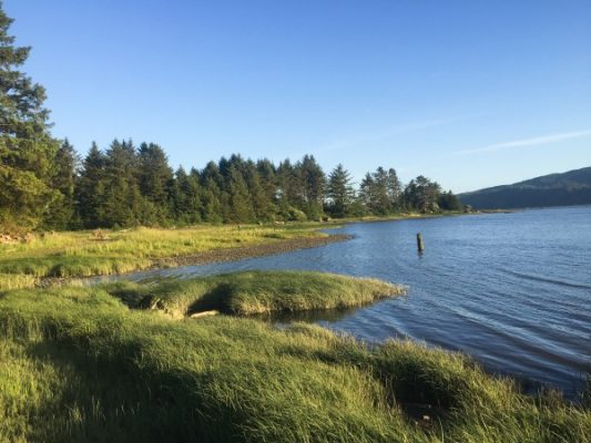Kilchis Point Tillamook Bay