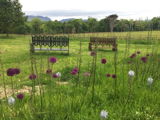 Lissadell House sligo gardens