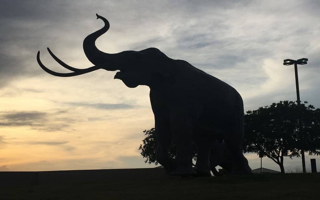 Lubbock Lake Landmark. Photo courtesy Kristin Caliendo