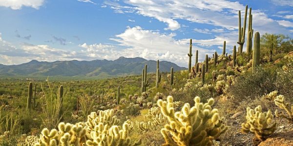 Tucson
