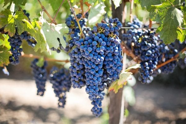 wine country getaways