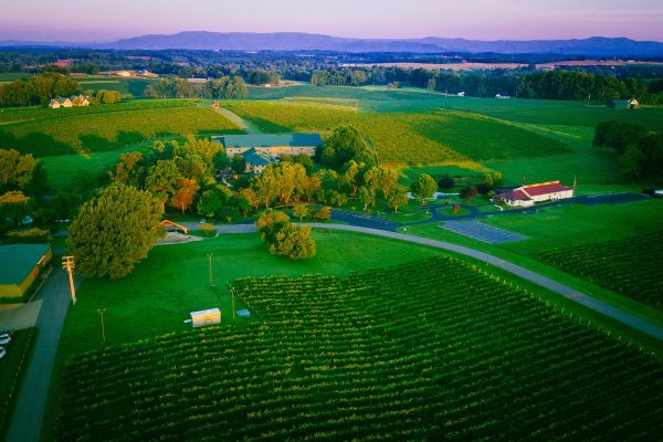 Yadkin Valley
