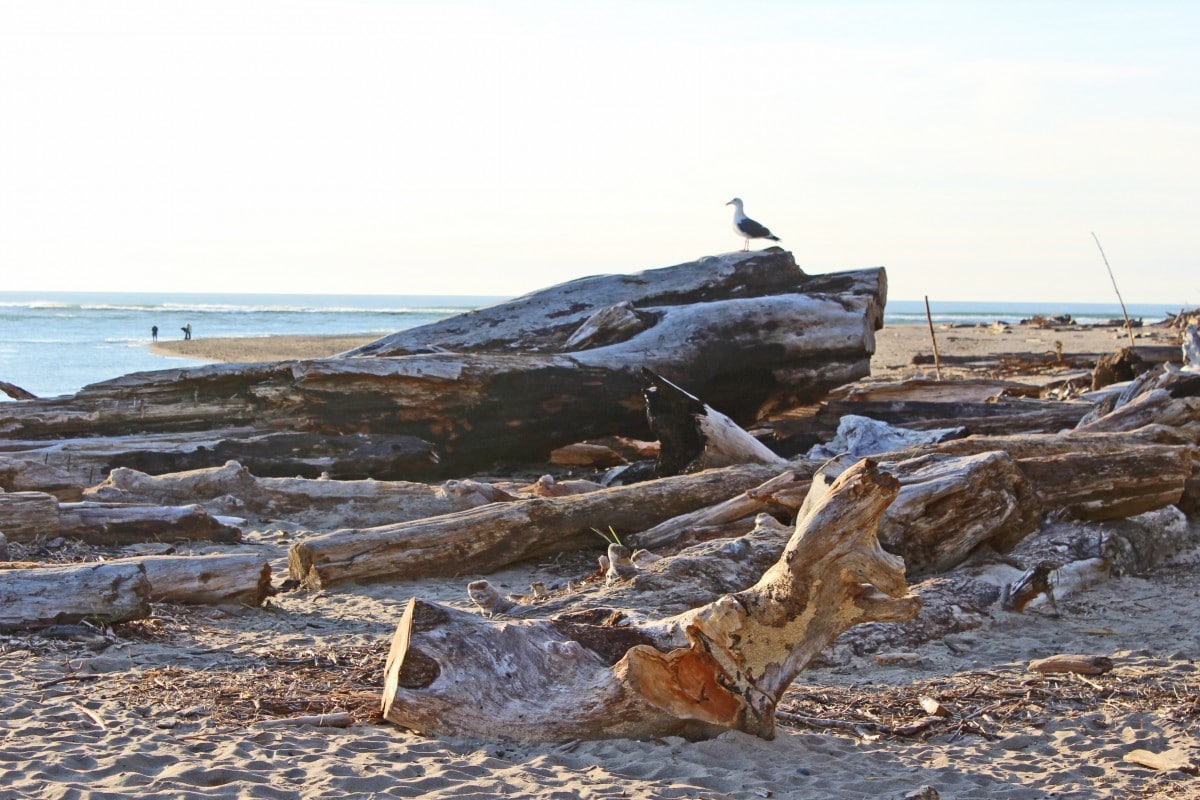 Lincoln City