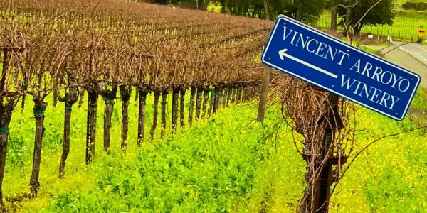 Discover the wines of Vincent Arroyo Winery in Napa Valley