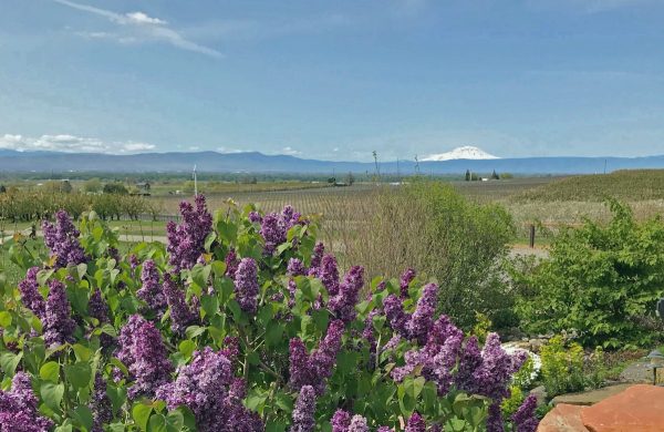 Yakima Valley