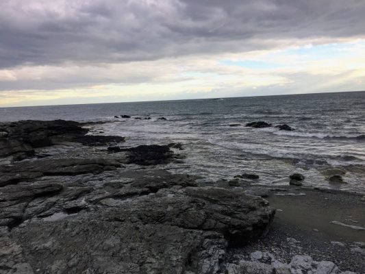 Wander Newport