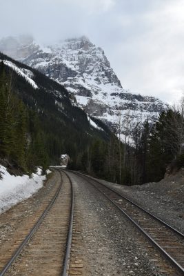 questions about Rocky Mountaineer