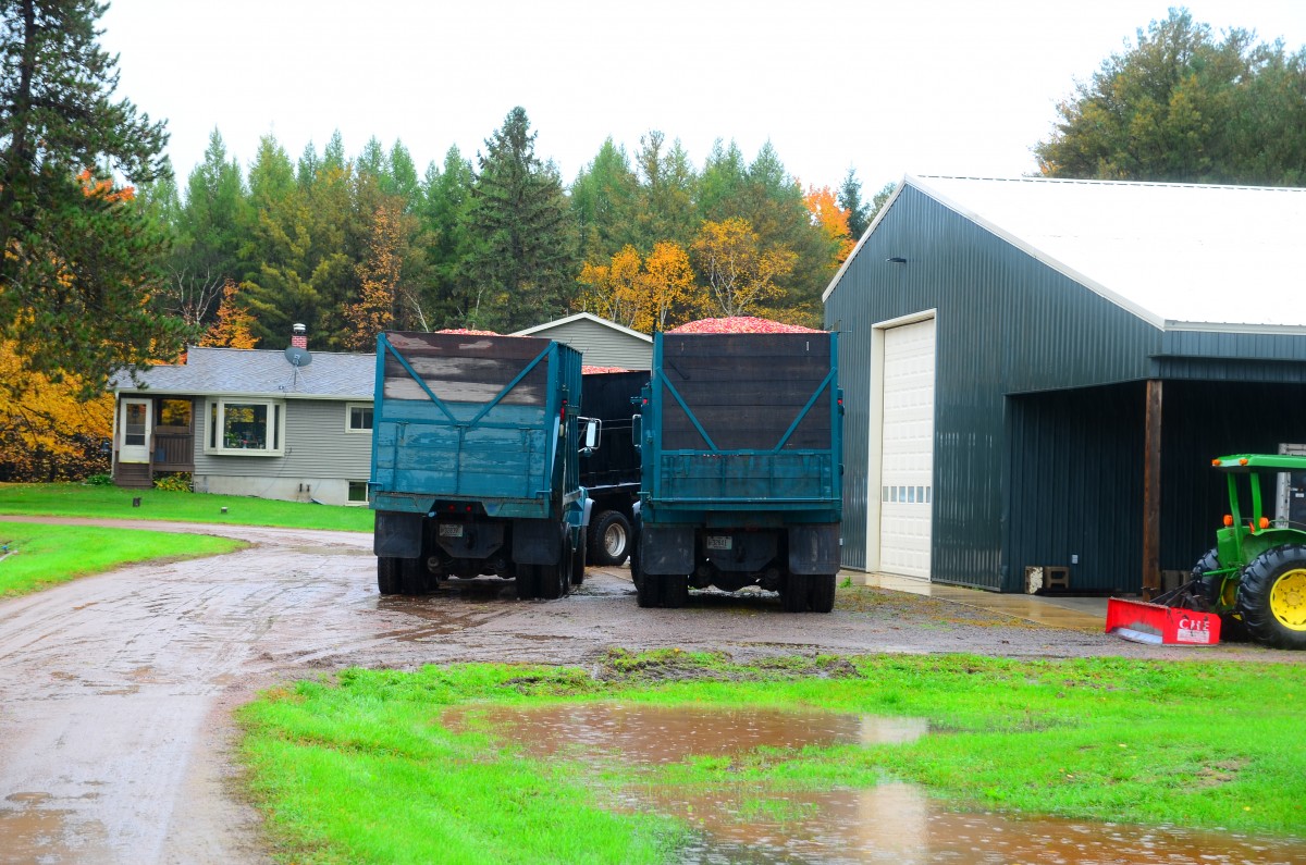 Cranberry Highway Wisconsin