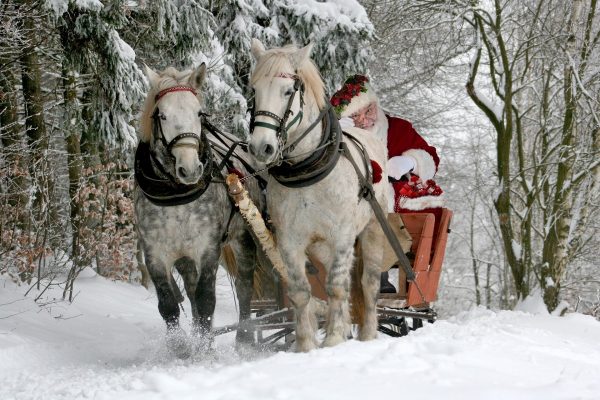 christmas 2949687 1920